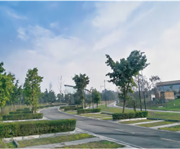 成都鳳凰公園F標段